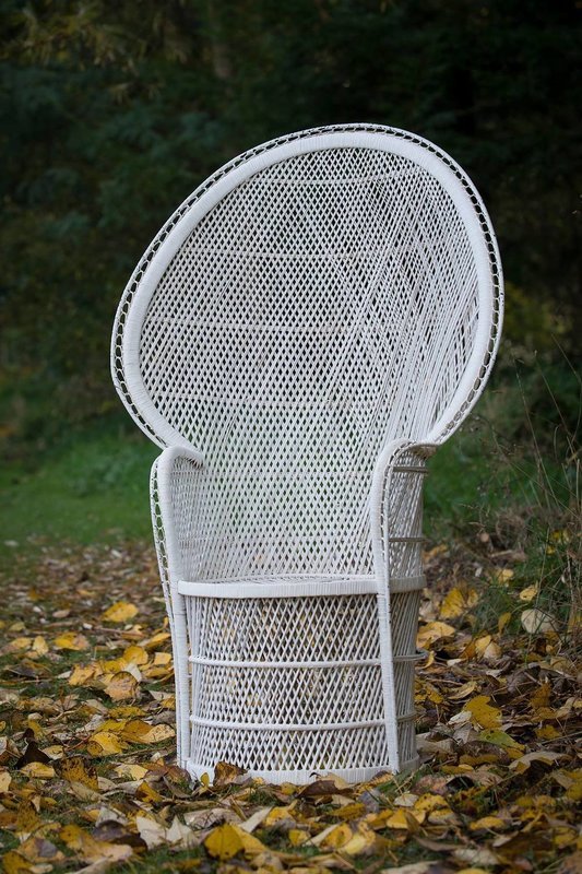 Peacock Chair