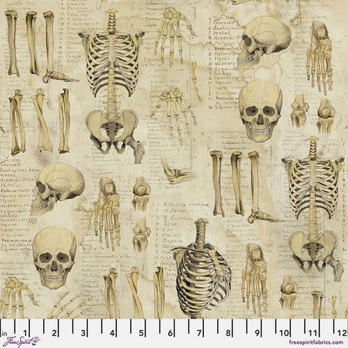FreeSpirit Fabrics Laboratory Anatomy PWTH181.Neutral
