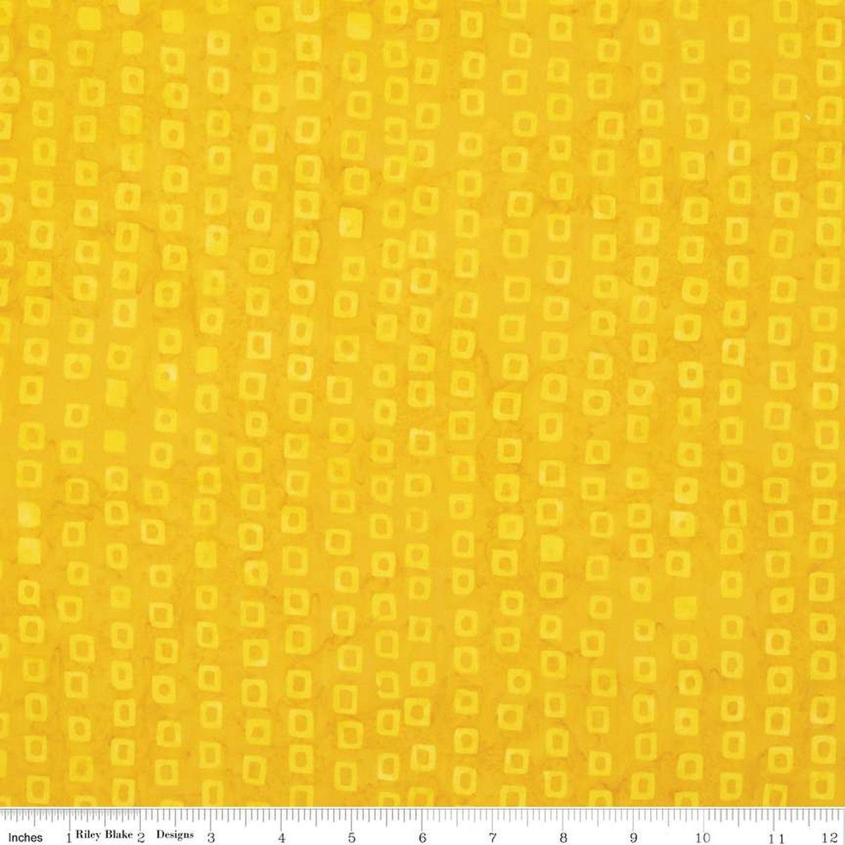 Riley Blake Designs Expressions Batiks That Summer Feelin&#39; BTHH1210 Sunray
