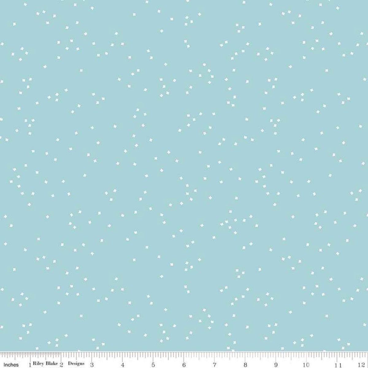 Riley Blake Designs Blossoms in Color C715-Aqua