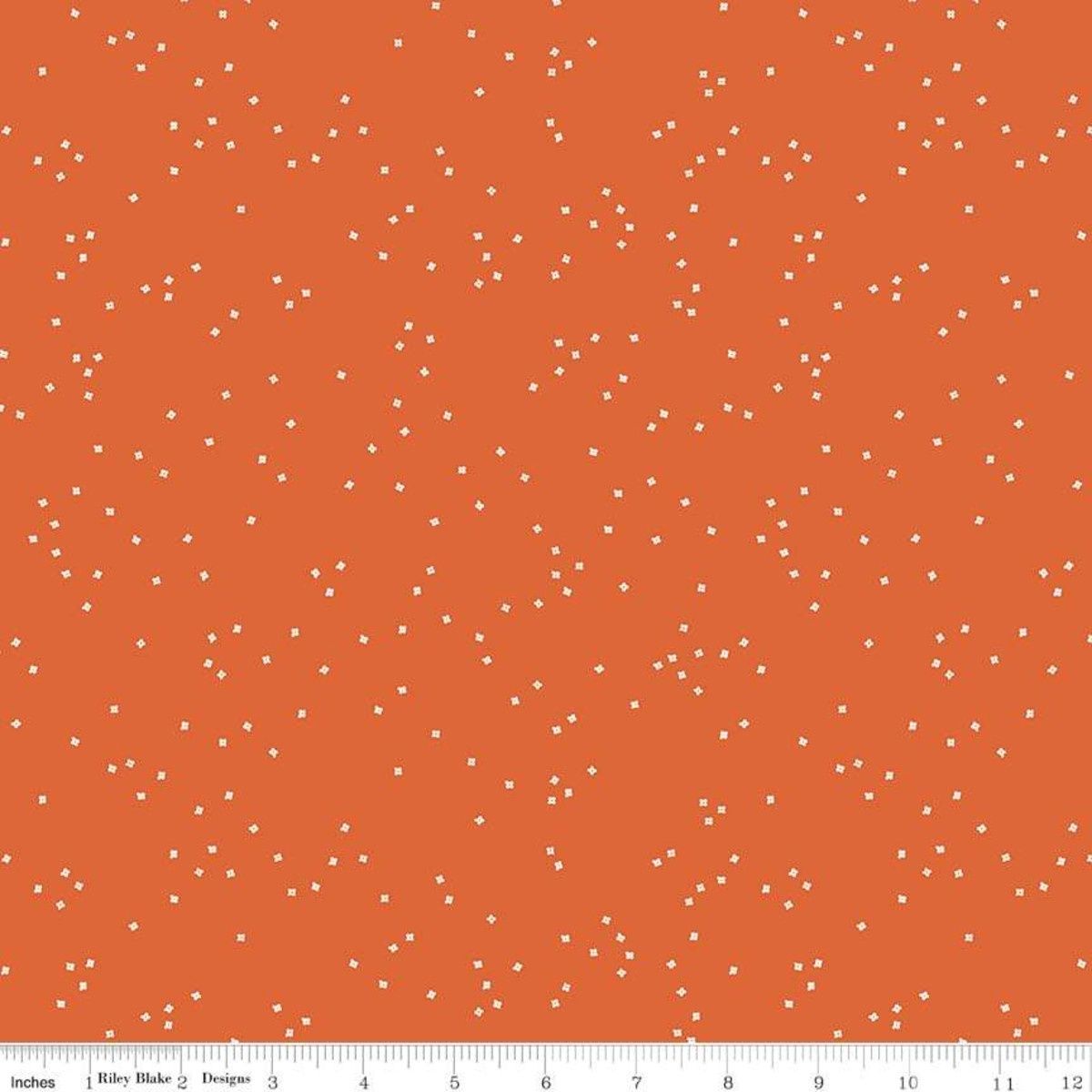 Riley Blake Designs  Blossoms in Color C715-Orange