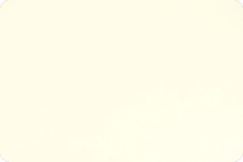Shannon Fabrics Cuddle 3 Solid C3 Ivory