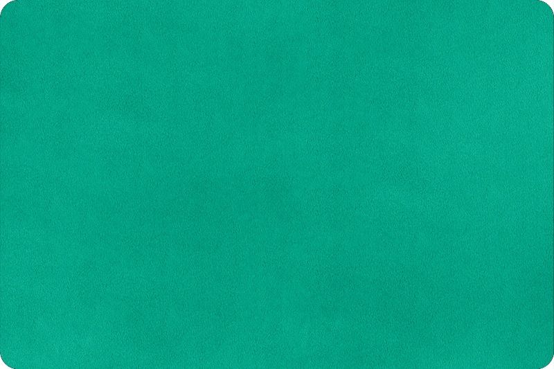 Shannon Fabrics Cuddle 3 Solid C3 Sea Foam