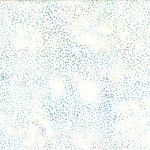 Hoffman Fabrics 885 Dot Batiks 885 532 Aurora