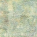 Hoffman Fabrics 885 Dot Batiks 885 435 Garlic