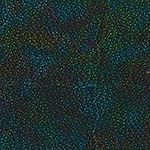 Hoffman Fabrics 885 Dot Batiks 885 657 Spectrum