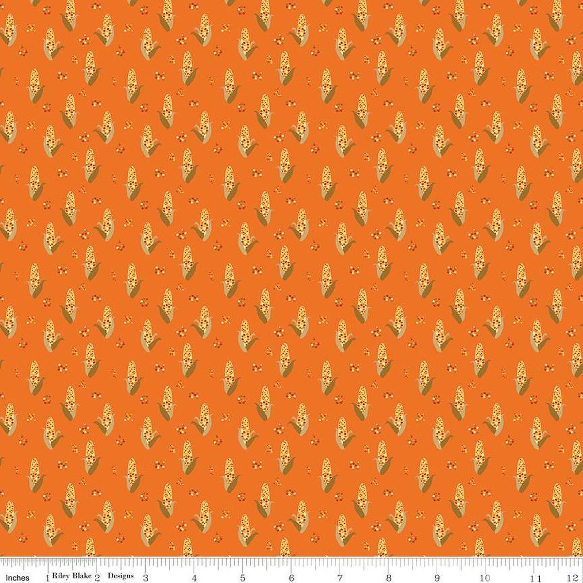 Riley Blake Designs Fall&#39;s in Town C13514 Orange