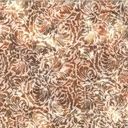 Hoffman Fabrics Bali Batik Feathers V2511 64 Tan