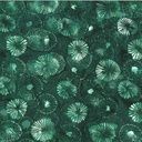 Hoffman Fabrics Bali Batik Lily Pads U2493 272 Mallard