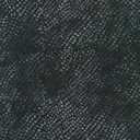 Robert Kaufman Fabrics Artisan Batiks Patterns in Nature AMD-22683-2 Black