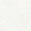 Robert Kaufman Fabrics Artisan Batiks Patterns in Nature AMD-22684-84 Cream
