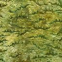 Robert Kaufman Fabrics Artisan Batiks Patterns in Nature AMD-22682-45 Moss