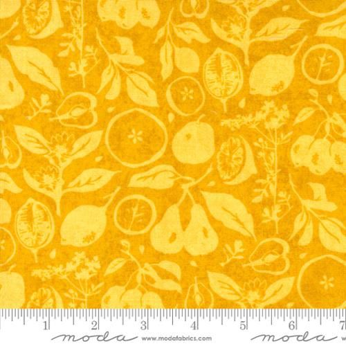 Moda Fabrics Fruit Loop 30732 16