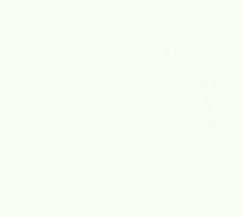 Moda Fabrics Bella Solids 9900-97 Bleached White PFD