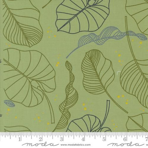 Moda Fabrics Olive You 1880 18 Sage