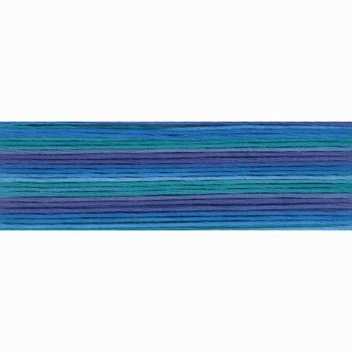 Cosmo Seasons Floss 8m  806 8056
