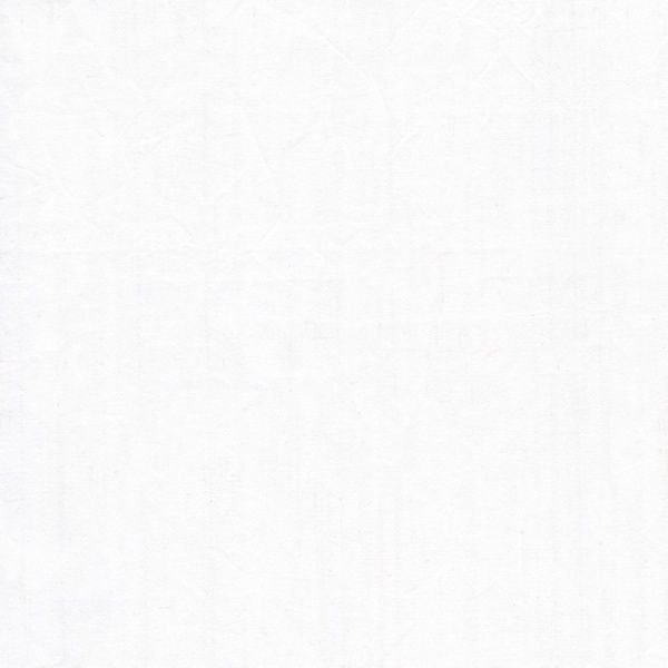 Windham Fabrics Artisan Cotton  40171 120 White/White