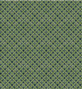 In the Beginning Fabrics Oregon Shop Hop 2025 258OR1 Green