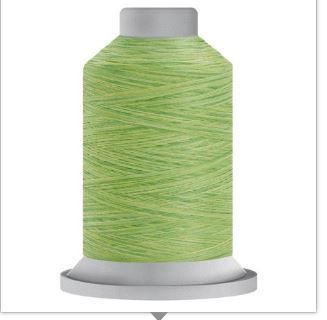 Fil-Tec Affinity 40 wt Variegated Polyester Thread 1000 Yds 60156 Chartreuse