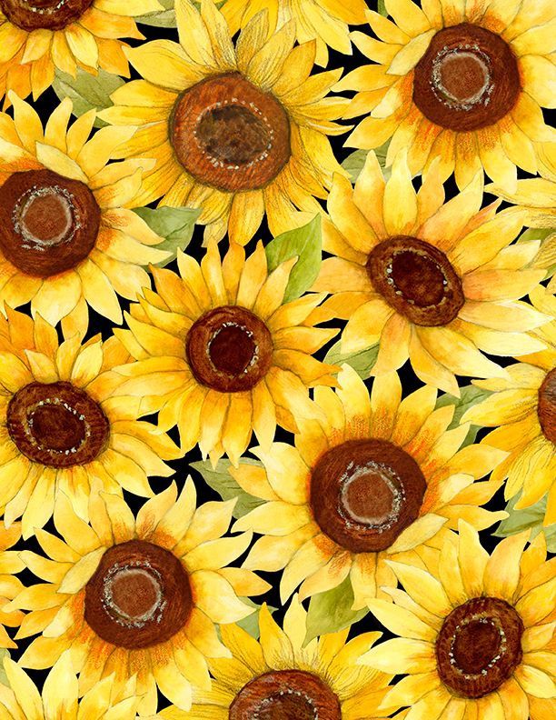 Wilmington Prints Sunflower Splendor 3023 83326 952 Multi
