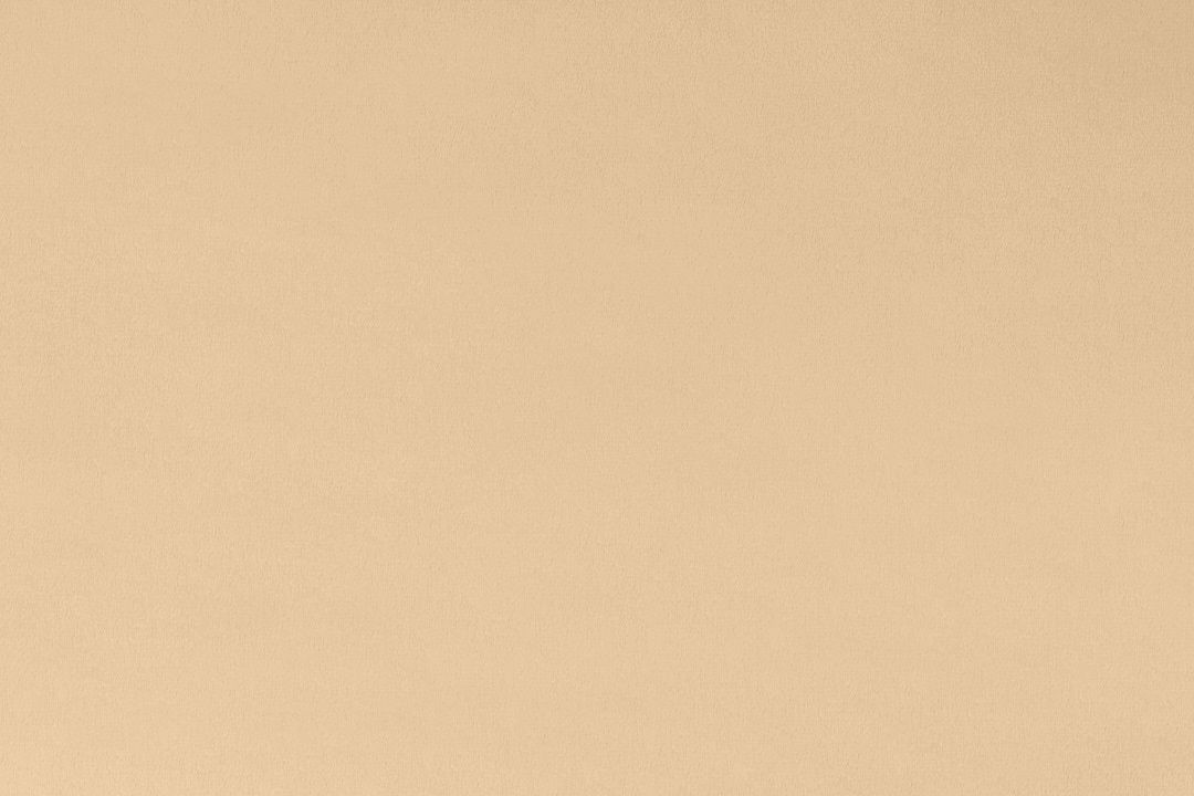 Shannon Fabrics Cuddle 3 Solid Extra Wide C390 Latte