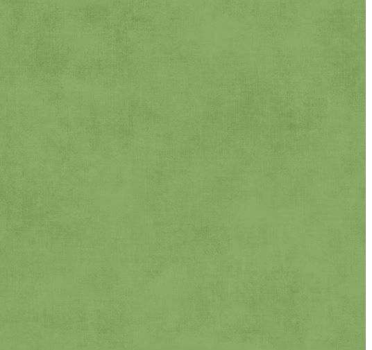 Riley Blake Designs Shades C200 Green