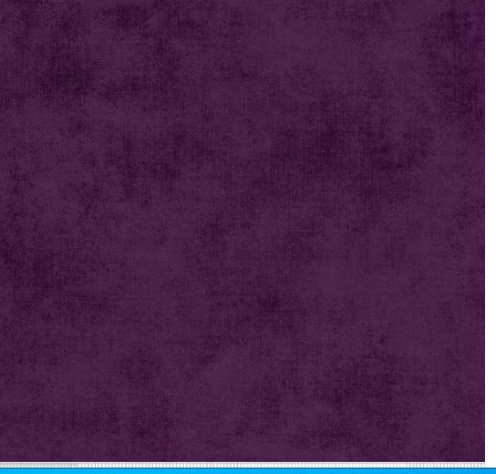 Riley Blake Designs Shades C200 Plum