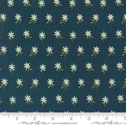 Moda Fabrics Imaginary Flowers 48384 20