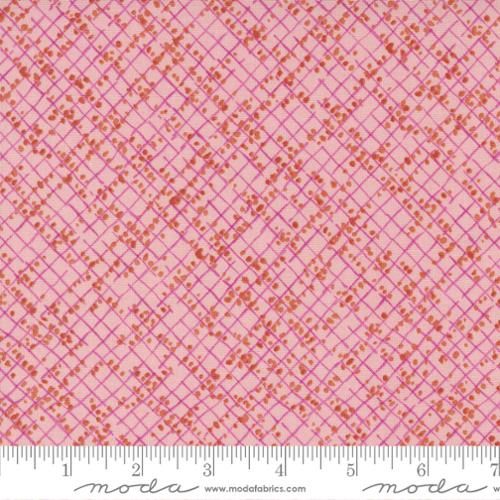 Moda Fabrics Wild Blossoms Blotted Graph Paper 48737 21 Princess