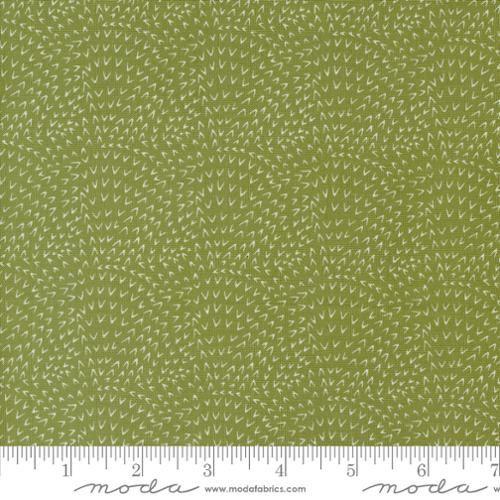 Moda Fabrics Woodland Wonder 48396 19 Fern