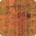 Robert Kaufman Fabrics Wishwell: Industrial Imprints ANJD-22870-141 Saffron