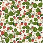 Windham Fabrics Under the Canopy 54297-7 Ivory