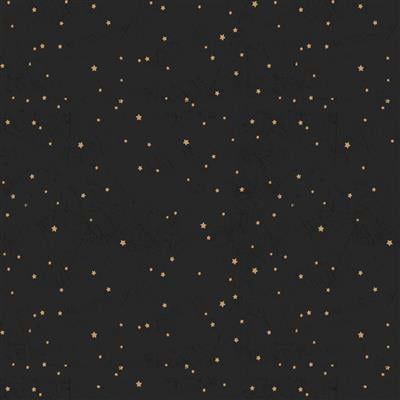 Clothworks Living the Dream Flannel  Y4538-3 Black