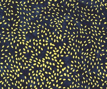 Anthology Fabrics Sesame 896Q-22 Orbit