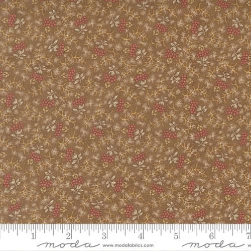 Moda Fabrics Wild Orchid  2774 12 Earth
