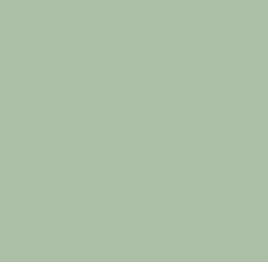 Shannon Fabrics Quilting Cuddle Solid QC Meadow