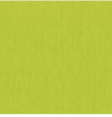 Windham Fabrics Artisan Cotton  40171-87 Apple Green/Chartreuse