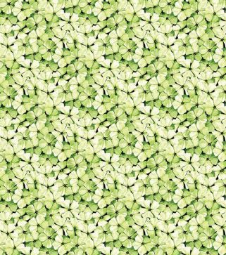 Riley Blake Sewing Seeds III C15694-Green