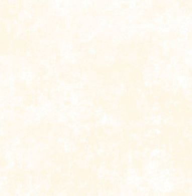 Maywood Studio Shadow Play Flannel MASF513 W2 Pristine