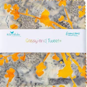 Rockslide Sassy &amp; Tweet Quilt Kit