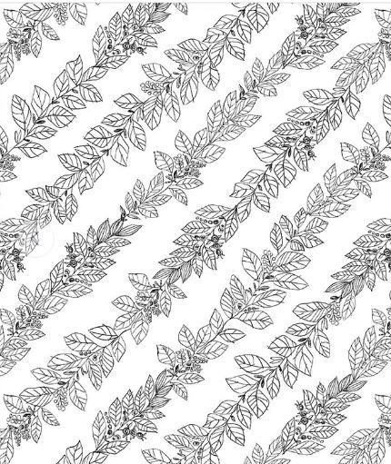 Windham Fabrics Pen &amp; Petal  54967-1 White