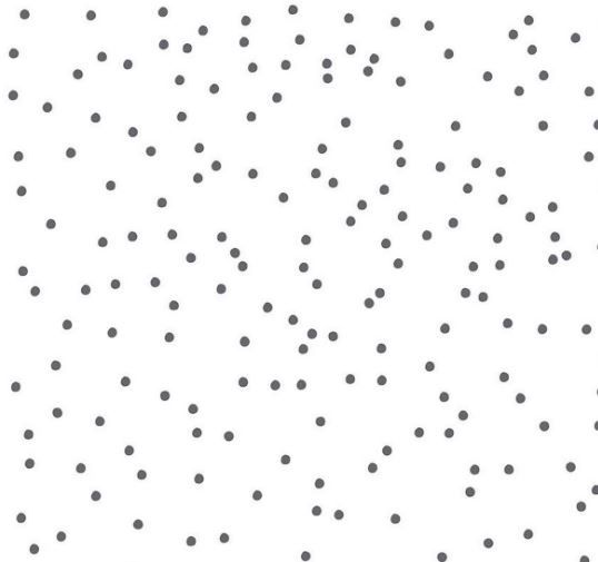 Riley Blake On the Dot  C17030 Dalmatian