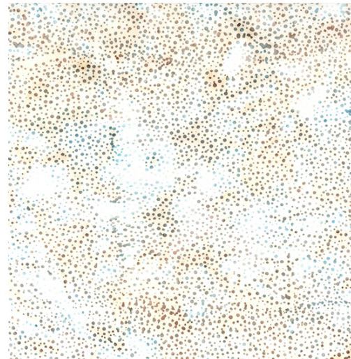 Hoffman Fabrics 885 Dot Batiks 885 638 Harbor