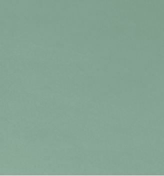 Shannon Fabrics Cuddle 3 Solid Extra Wide C390 Juniper