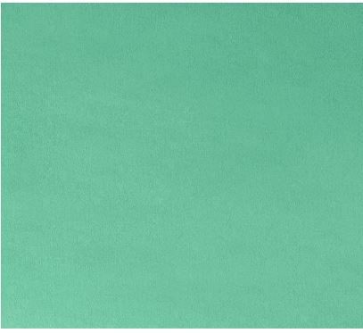 Shannon Fabrics Cuddle 3 Solid Extra Wide C390 Spearmint