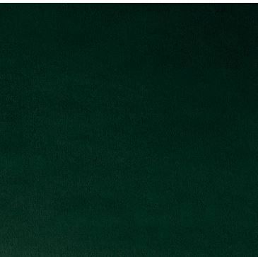 Shannon Fabrics Cuddle 3 Solid Extra Wide C390 Spruce