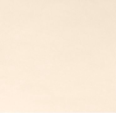 Shannon Fabrics Cuddle 3 Solid Extra Wide C390 Pearl