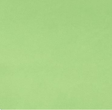 Shannon Fabrics Cuddle 3 Solid C3 Sage