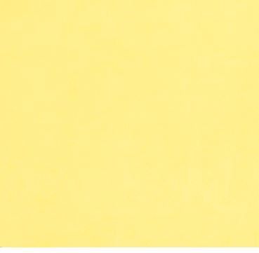 Shannon Fabrics Cuddle C3 Banana