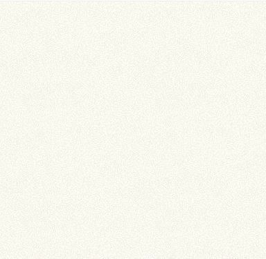 Windham Fabrics Nature Study 2.0  54688-30 Unbleached